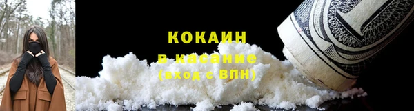 соль ск Белокуриха