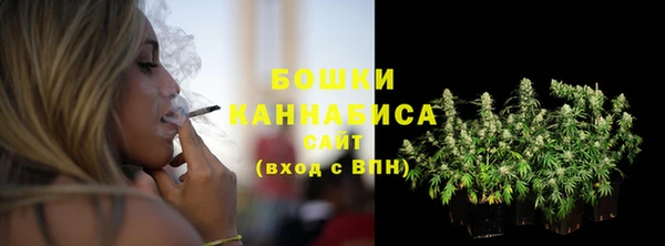 PSILOCYBIN Балахна