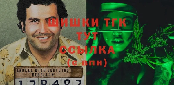 соль ск Белокуриха